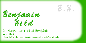 benjamin wild business card
